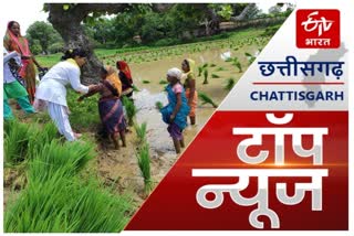 chhattisgarh news