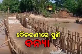 ବୈତରଣୀରେ ଦ୍ବିତୀୟ ବନ୍ୟା, କ୍ଷେତ୍ର ପରିଦର୍ଶନ କଲେ ଯାଜପୁର ବିଧାୟକ