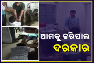 zilla parishad member lay on tahsildar feet in birmaharajpur subarnapur