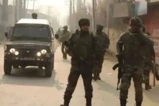 grenade attack in Nishat area of Srinagar