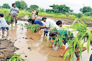 Natural Farming Schools