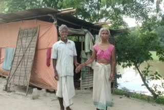 tragic story of an old couple from nalbari