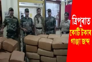 Huge cache of cannabis worth Rs 1 crore seized