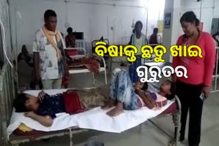 ବିଷାକ୍ତ ଛତୁ ଖାଇ ଗୋଟିଏ ପରିବାରର ୫ ଗୁରୁତର