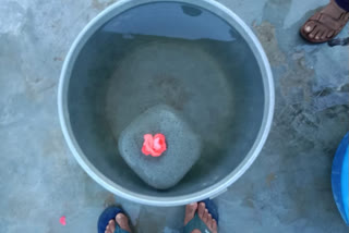 stone floating on water in Bathu ki Ladi kangra