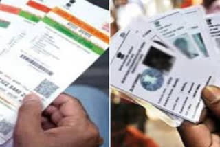 Dholpur tops in linking Aadhaar to Voter ID, state records 2 crore plus figure