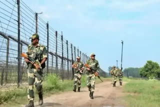 Cache of assault weapons recovered along Indo Pak border