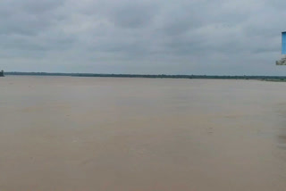 Chambal River crosses 6 meter mark