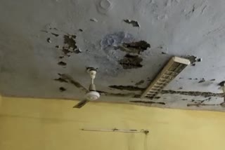 Ceiling plaster fell in CMHO office rooms