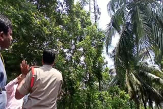 YSRCP leader climbs tower to protest