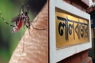 Lalbazar Dengue Advisory