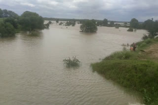 Waterv level of chambal Rising