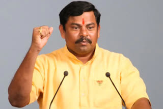 Bail granted to BJP MLA Rajasingh