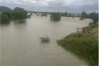 Heavy Rain in Chittorgarh