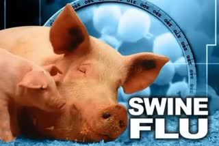swine flu in chhattisgarh