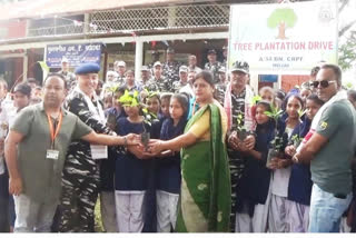 Plantation of CRPF in Hojai