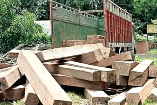 burmese teak wood smuggled from assam