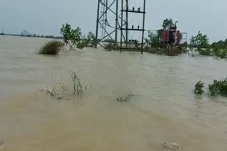 flood water is receding and the situation is improving in khurda