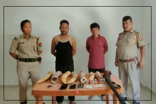 Smugglers arrested with ivory