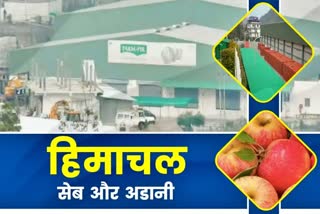 adani group bought apples in himachal