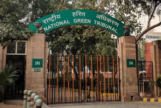NGT orders ED to take action