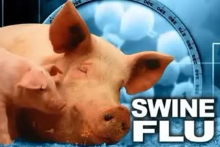 chhattisgarh swine flu cases