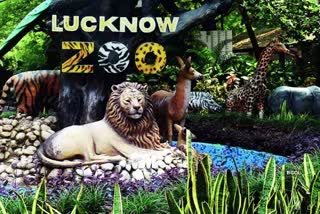 Lucknow zoo