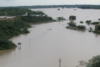 Bhind Chambal Flood