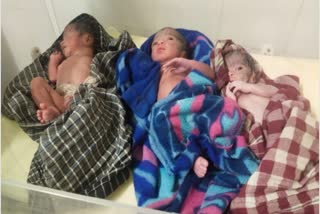 woman gave birth to three children