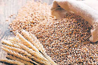 Cabinet approves curbs on wheat flour export to control domestic prices