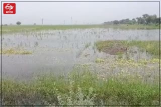 Heavy Rain in Hadoti Division