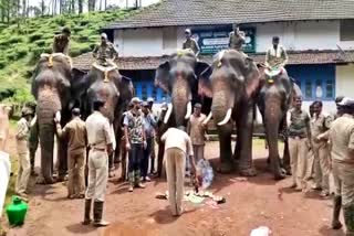 ಅರಣ್ಯ ಇಲಾಖೆ  ಸಿಬ್ಬಂದಿ ಹಾಗೂ ಆನೆಗಳು