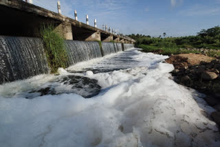 Industrial pollution causes foaming at Palar River, Tirupattur