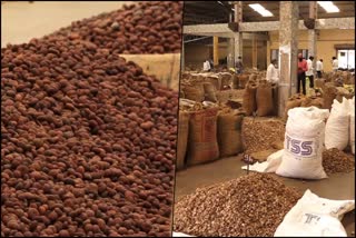 areca-nut-price-reached-50-thousand-in-sirsi