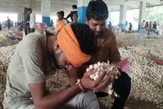 MP Farmers Throw Garlic in Rivers