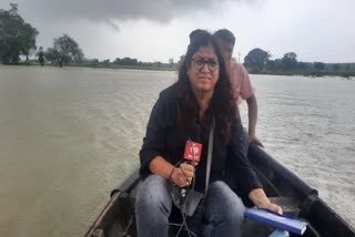 MP Heavy Rain ETV Bharat Ground Report from Berasia Bhopal Halali Dam Havoc