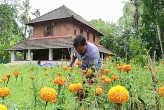 marigold farming  kannur  payyanur  onam  ചെണ്ടുമല്ലി കൃഷി  വിജയംകൊയ്‌ത്  kizhakke kandangali  കിഴക്കെ കണ്ടങ്കാളി  പയ്യന്നൂർ