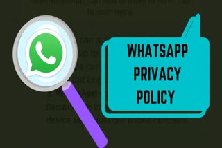 Etv Bharatદિલ્હી હાઈકોર્ટે WhatsAppને આપ્યો મોટો ઝટકો
