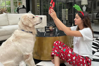 International Dog Day,celebs with furry friends,celebs with pets,celebs with their dogs,International Dog Day 2022,kartik aaryan with his pet,bollywood celebrities with pets,ಅಂತಾರಾಷ್ಟ್ರೀಯ ಶ್ವಾನ ದಿನ,ಶ್ವಾನ ದಿನ 2022,ಸೆಲೆಬ್ರಿಟಿಗಳ ಸಾಕು ನಾಯಿಗಳು,ನಿಯತ್ತಿನ ಪ್ರಾಣಿಗಳು,ಅಂತಾರಾಷ್ಟ್ರೀಯ ನಾಯಿ ದಿನ,ಶ್ವಾನಗಳೊಂದಿಗೆ ಸೆಲೆಬ್ರಿಟಿಗಳು