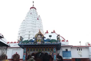 new paddy ritual in samaleswari temple for nuakhai