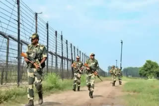 Pakistani intruder arrested along International Border in Jammu