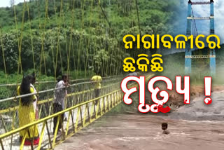 ପର୍ଯ୍ୟଟନ ସ୍ଥଳରୁ ଡେଥଜୋନ ପାଲଟିଛି ନାଗାବଳୀ ନଦୀର ଝୁଲୋପାଲ, ନେଲାଣି ୨୭ ମୁଣ୍ଡ