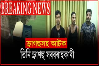 Drugs Padller arrested with huge amount of drugs in hojai