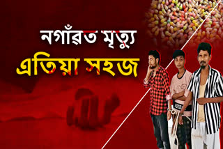 Drugs again seedlings in Nagaon