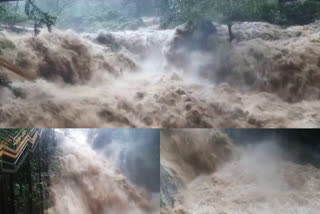 കരുവാരകുണ്ടിൽ ശക്തമായ മഴയും മലവെള്ളപ്പാച്ചിലും  Heavy rain and flash flood in Karuvarakund  Heavy rain in malappuram  മലപ്പുറത്ത് കനത്ത മഴ  kerala rain  ഒലിപ്പുഴ കരകവിഞ്ഞൊഴുകുന്നു  മലവെള്ളപ്പാച്ചിൽ  kozhikodu rain  കോഴിക്കോട് കനത്ത മഴ  Flash floods in Kannur and Kozhikode  കരുവാരകുണ്ടിൽ മലവെള്ളപ്പാച്ചിൽ