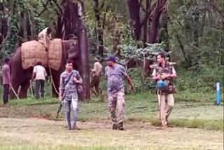 Operation Honeytrap To catch Leopard