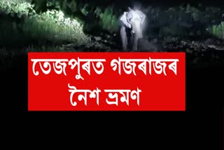 তেজপুৰ চহৰত গজৰাজৰ সন্ত্ৰাস