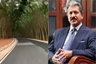 Anand Mahindra