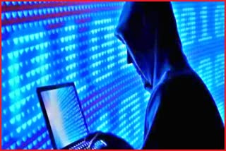 cyber fraud in shimla