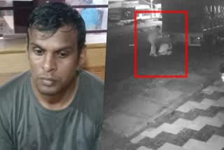 A native of Palakkad killed in Kochi  A native of Palakkad killed in Kochi CCTV footage  Kochi Nettur murder  Nettur murder  Kochi Murder  പാലക്കാട് സ്വദേശിയെ തലക്കടിച്ച് കൊലപ്പെടുത്തി  തലക്കടിച്ച് കൊലപ്പെടുത്തി  സിസിടിവി ദൃശ്യങ്ങള്‍  CCTV footage  കാറിന്‍റെ വീൽ സ്‌പാനർ  വീൽ സ്‌പാനർ  Wheel spanner